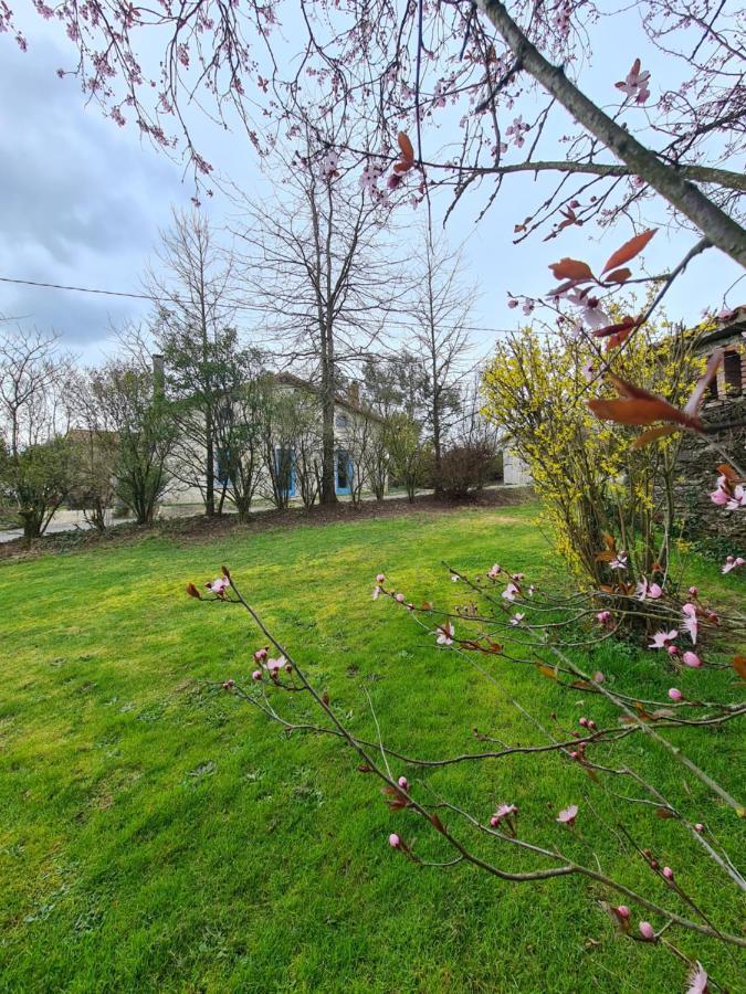 Saint-Pierre-du-Chemin Le Terrier Maison De Campagne 250 M2 Grande Capacite 20 Couchages, 4500M2 De Terrainヴィラ エクステリア 写真